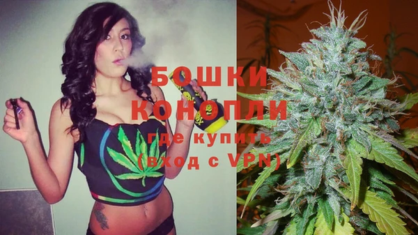 PSILOCYBIN Елизово