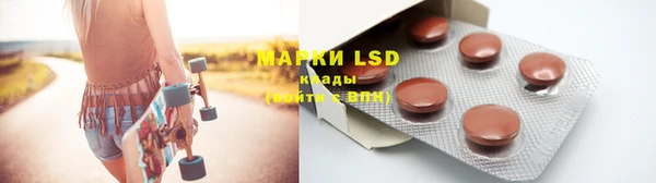 PSILOCYBIN Фёдоровский
