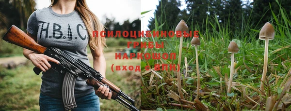 PSILOCYBIN Фёдоровский